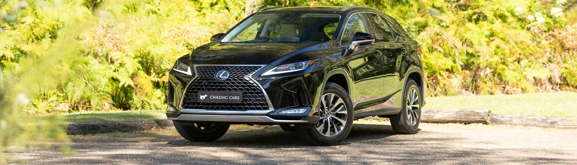Lexus RX 300 Luxury 2022 review