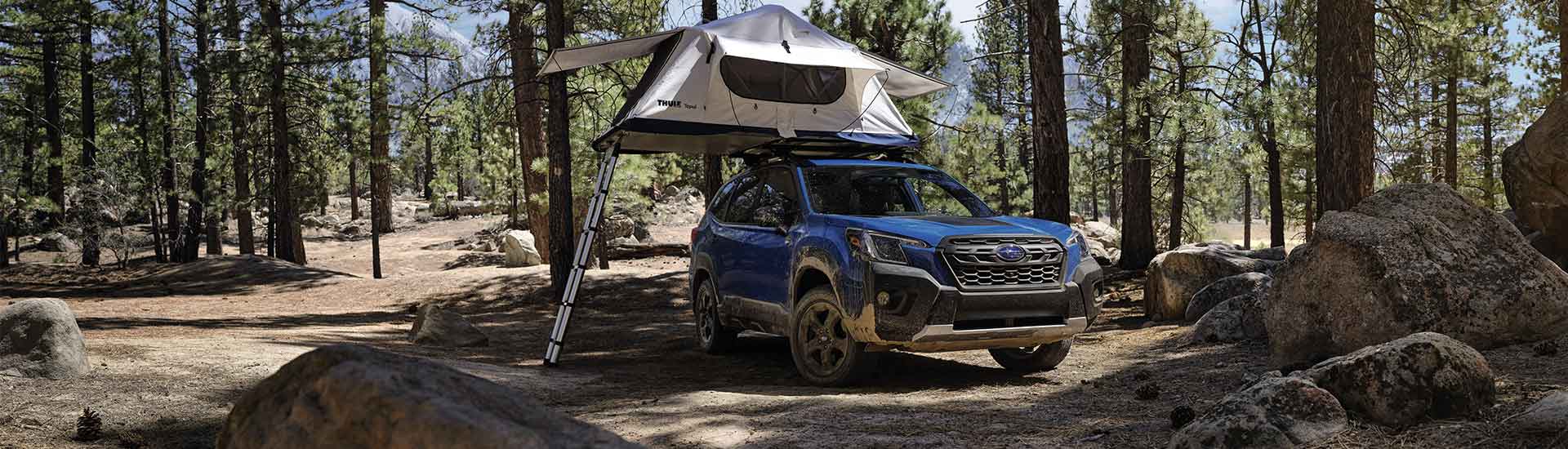 Subaru Forester 2022: Wilderness edition ramps up the 4x4 credentials